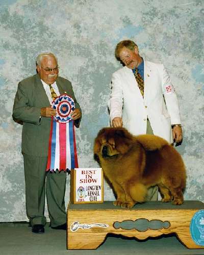Best in Show - Chow chow